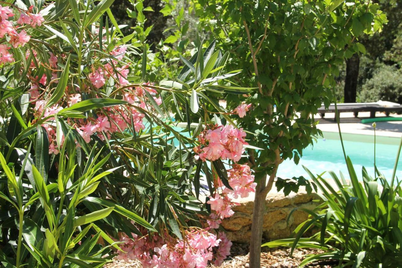 L'Atelier Bed & Breakfast Saint-Maximin  Dış mekan fotoğraf