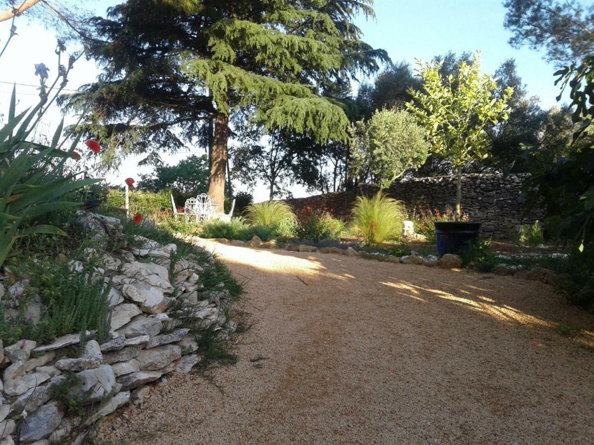 L'Atelier Bed & Breakfast Saint-Maximin  Dış mekan fotoğraf