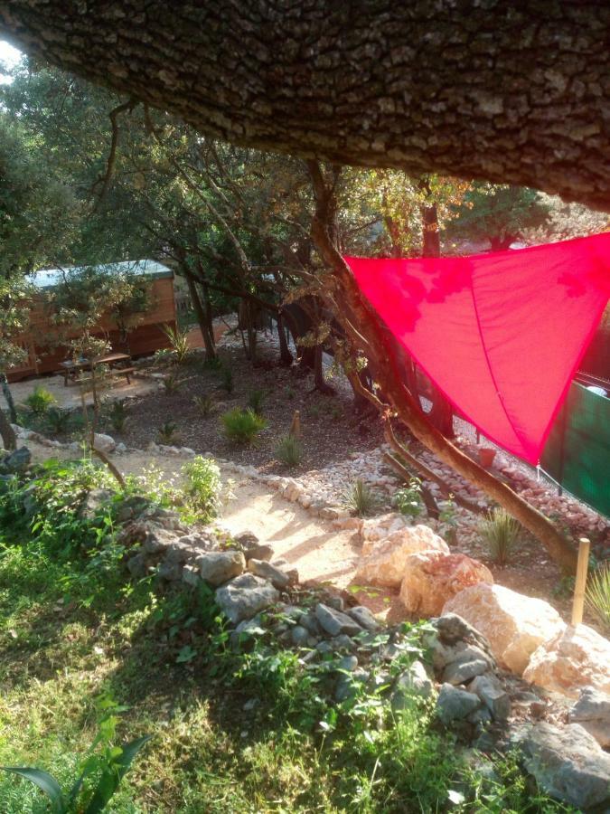 L'Atelier Bed & Breakfast Saint-Maximin  Dış mekan fotoğraf
