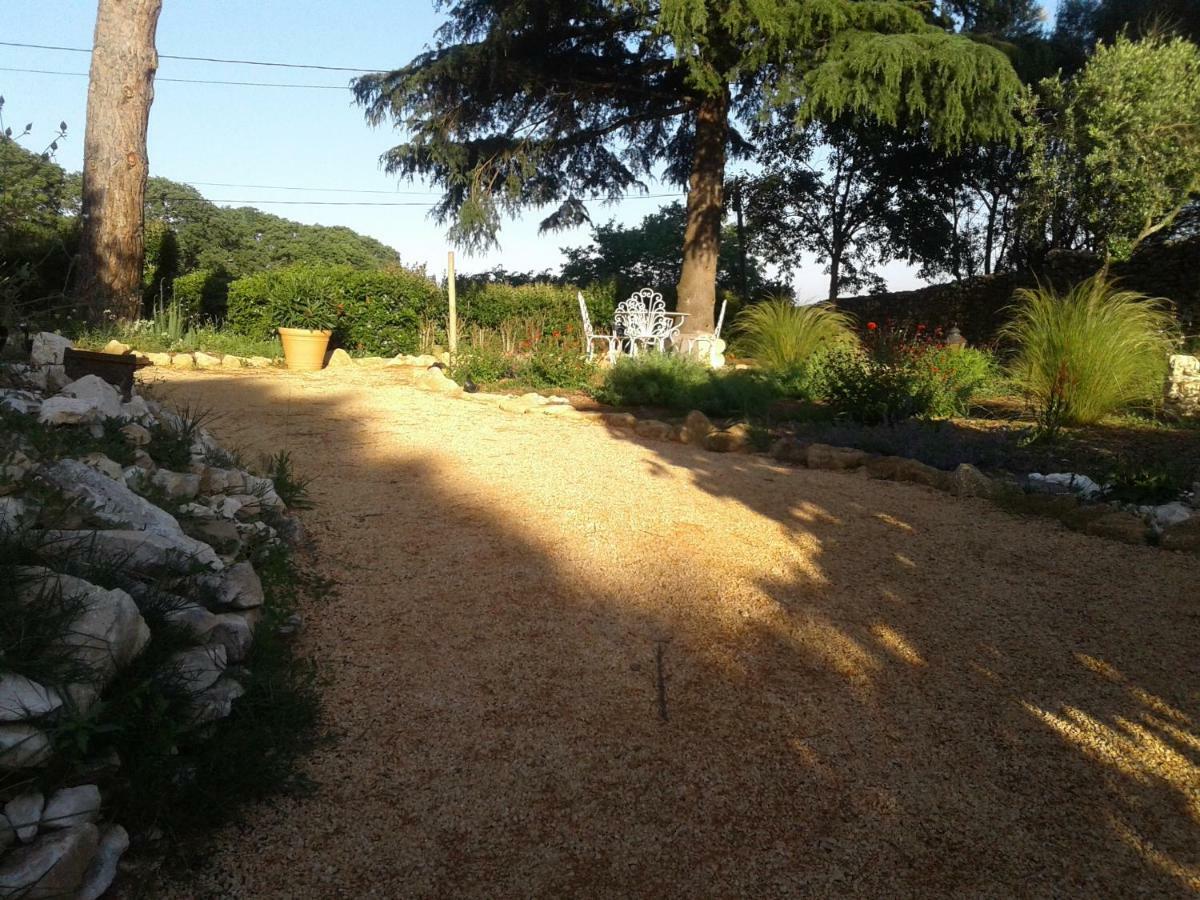L'Atelier Bed & Breakfast Saint-Maximin  Dış mekan fotoğraf