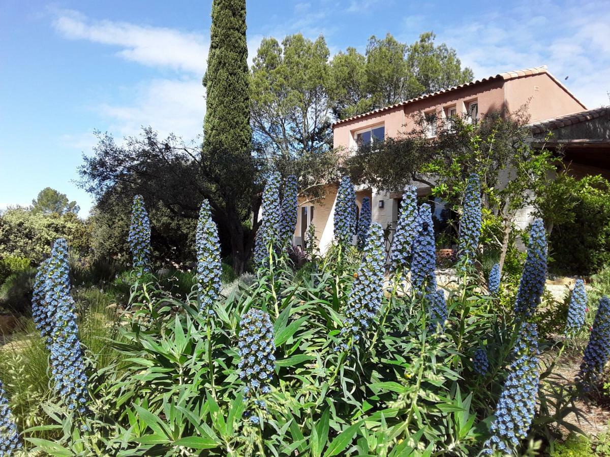 L'Atelier Bed & Breakfast Saint-Maximin  Dış mekan fotoğraf